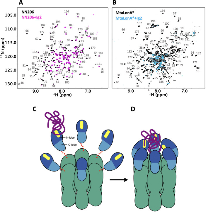 Figure 7.