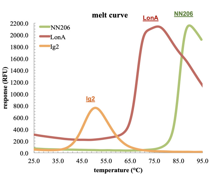 Figure 1—figure supplement 1.