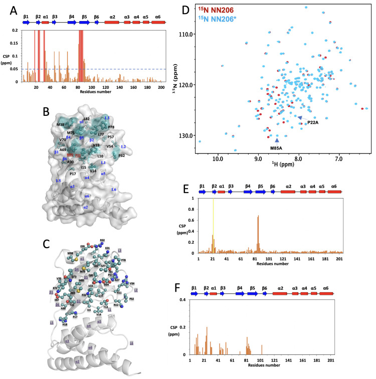 Figure 3—figure supplement 4.