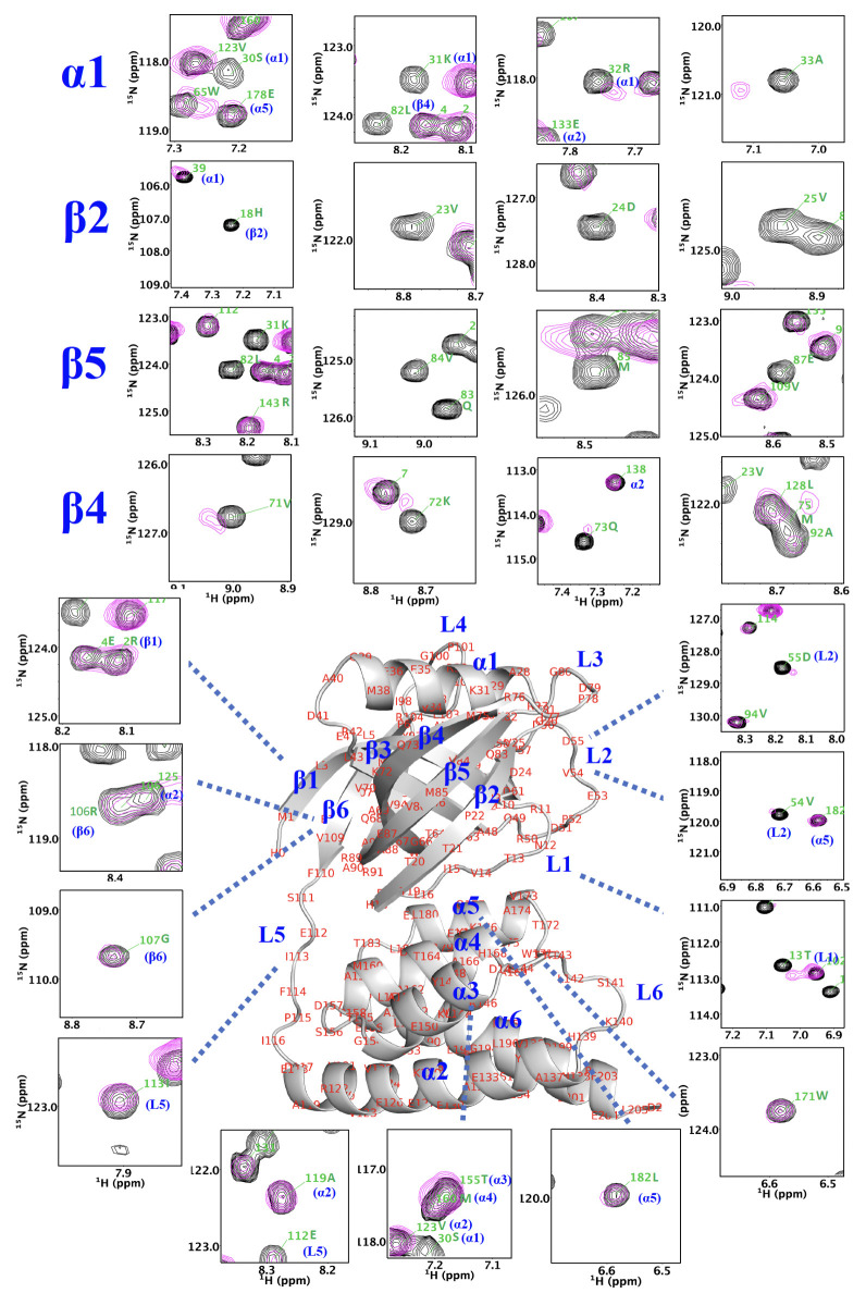 Figure 3—figure supplement 3.