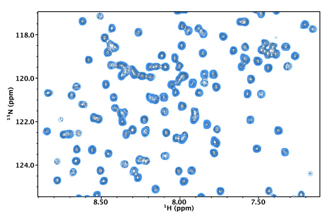 Figure 3—figure supplement 1.