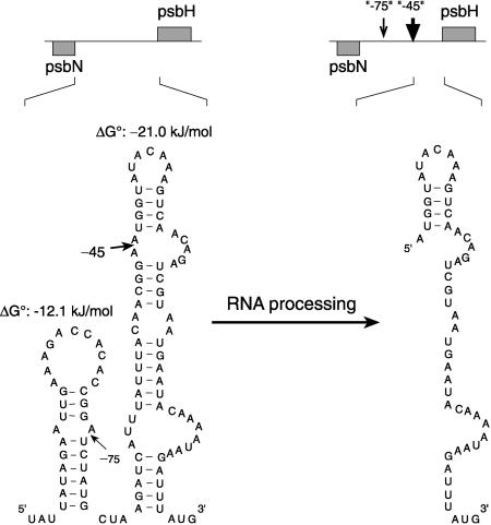 Figure 9.