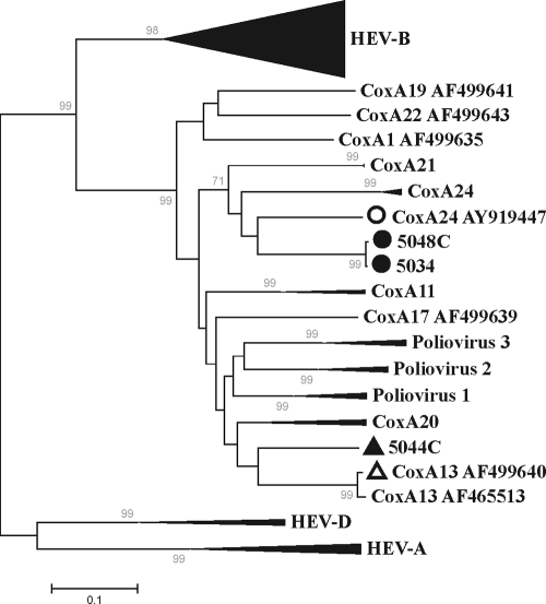 FIG. 5.