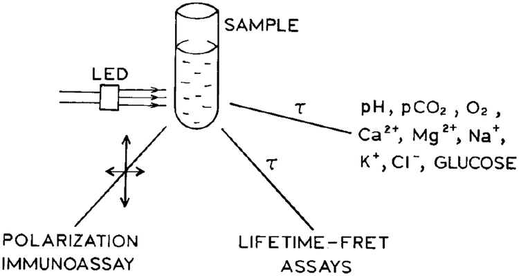 SCHEME III.