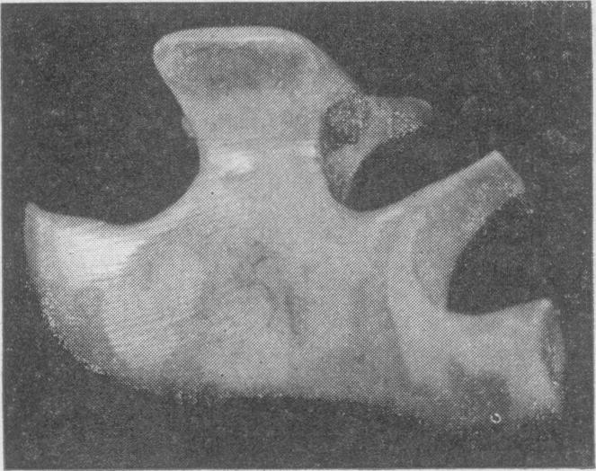 FIG. 10