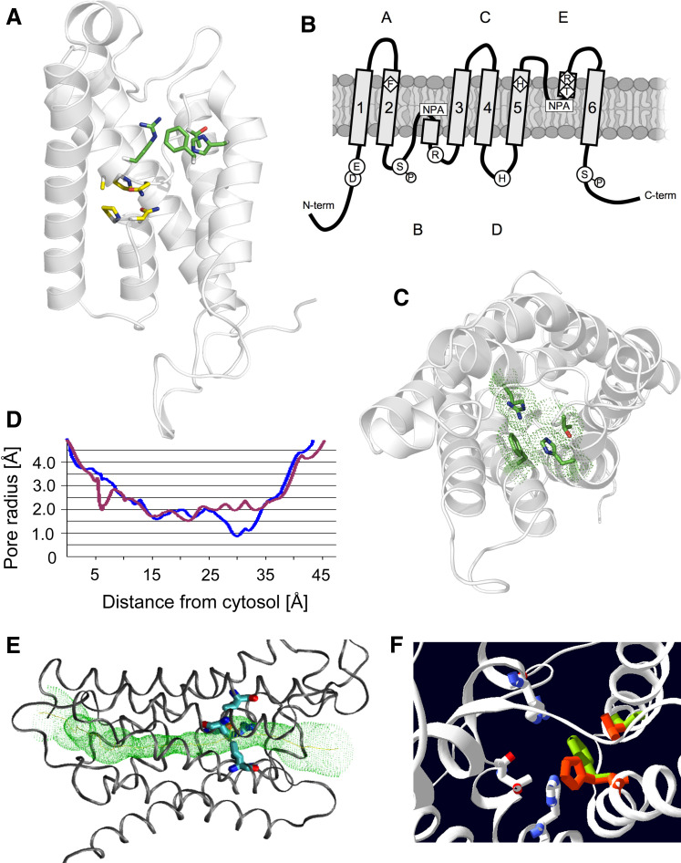 Fig. 1