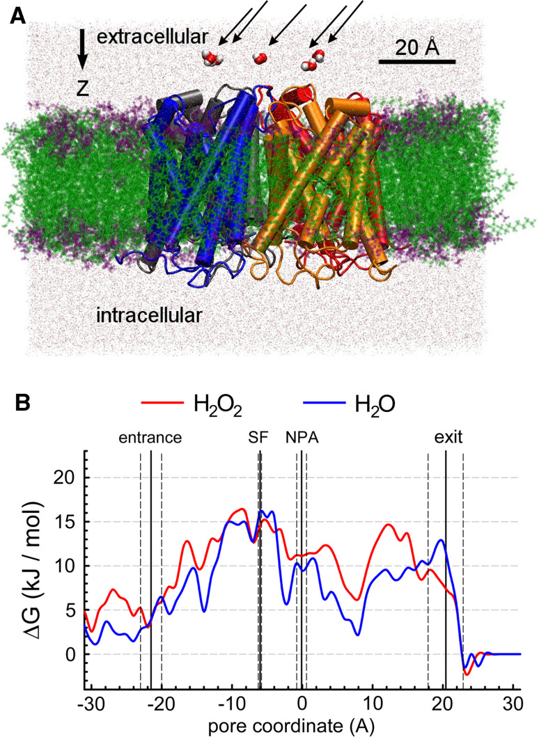 Fig. 2