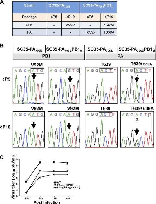 FIGURE 6.