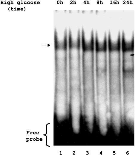 Figure 6.