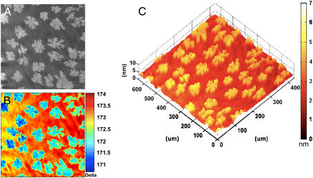 FIGURE 4