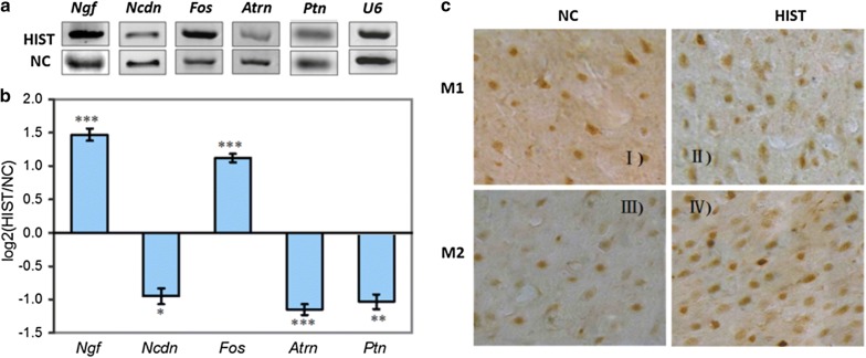 Fig. 6