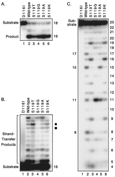 FIG. 6