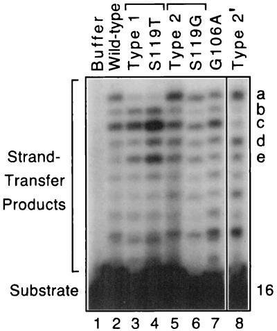 FIG. 5