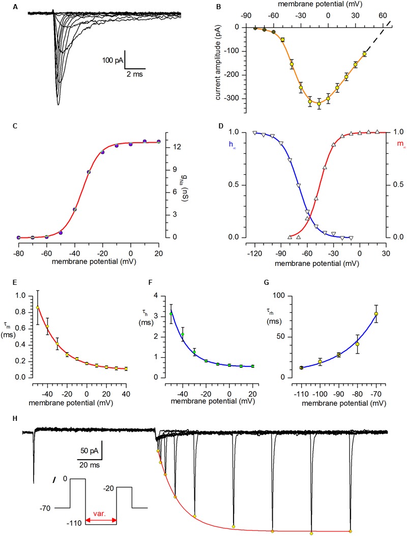 FIGURE 3