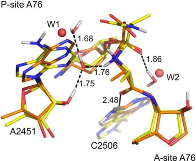 Figure 4.