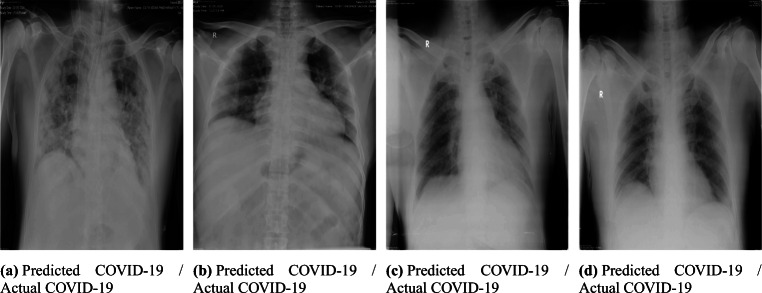 Fig. 18