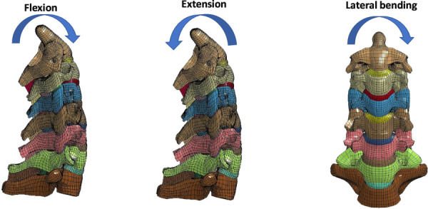 Loading in flexion, extension, and lateral bending