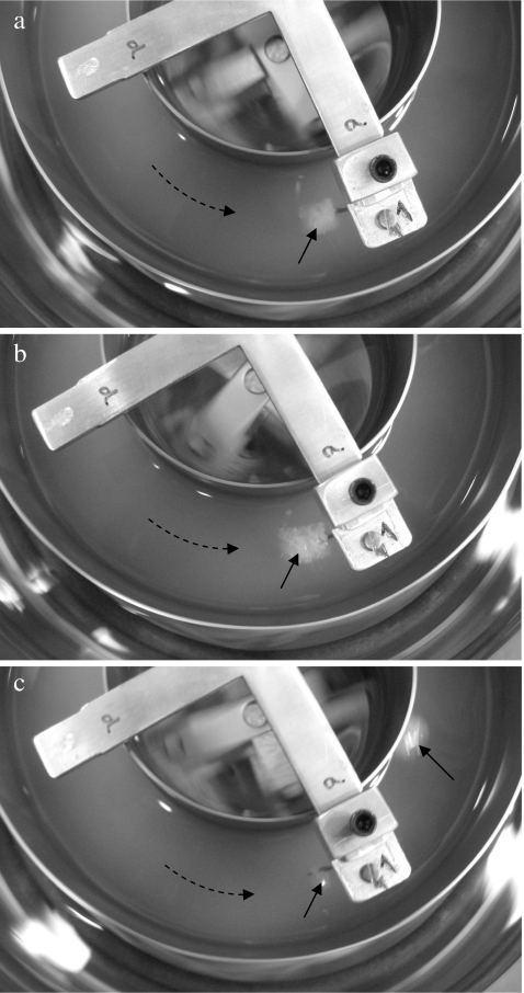 Fig. 2