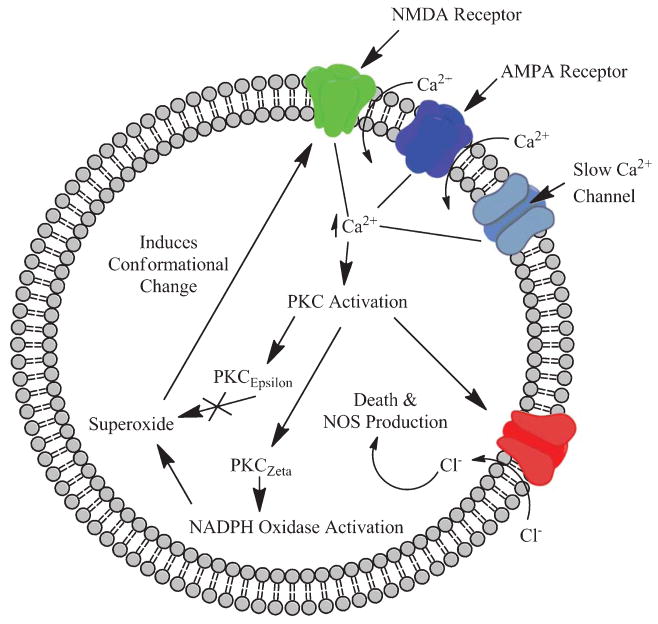 Fig. 3