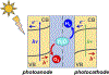 Figure 15.