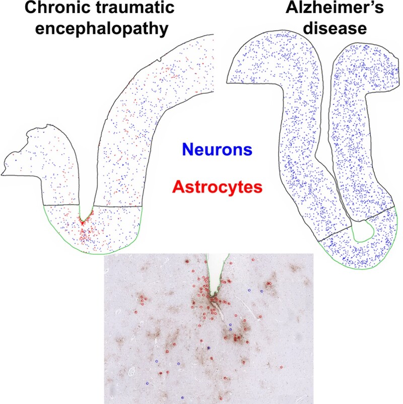 Graphical Abstract