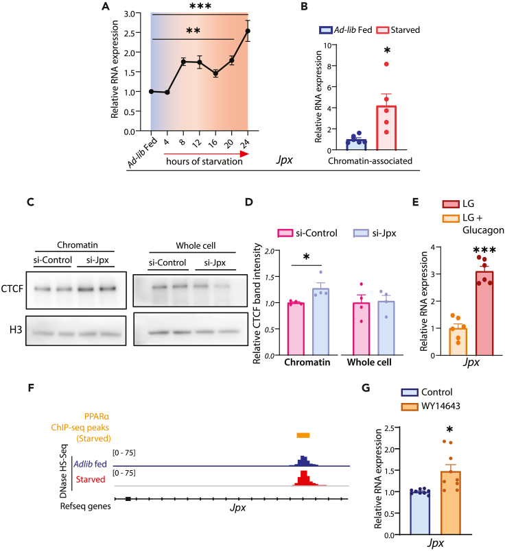 Figure 6