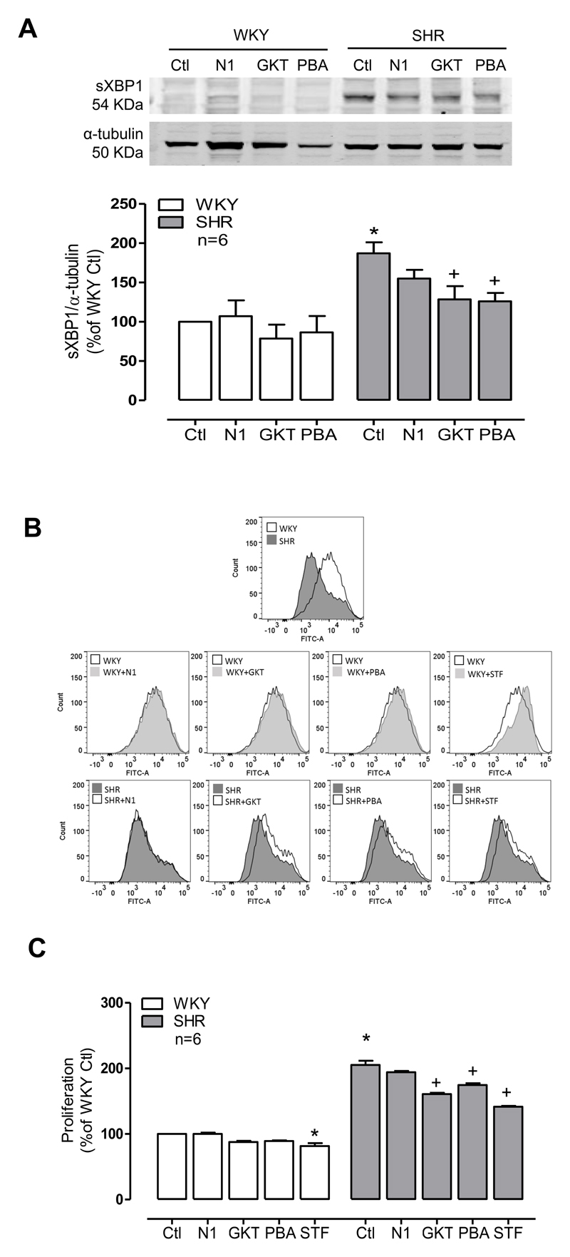 Figure 6