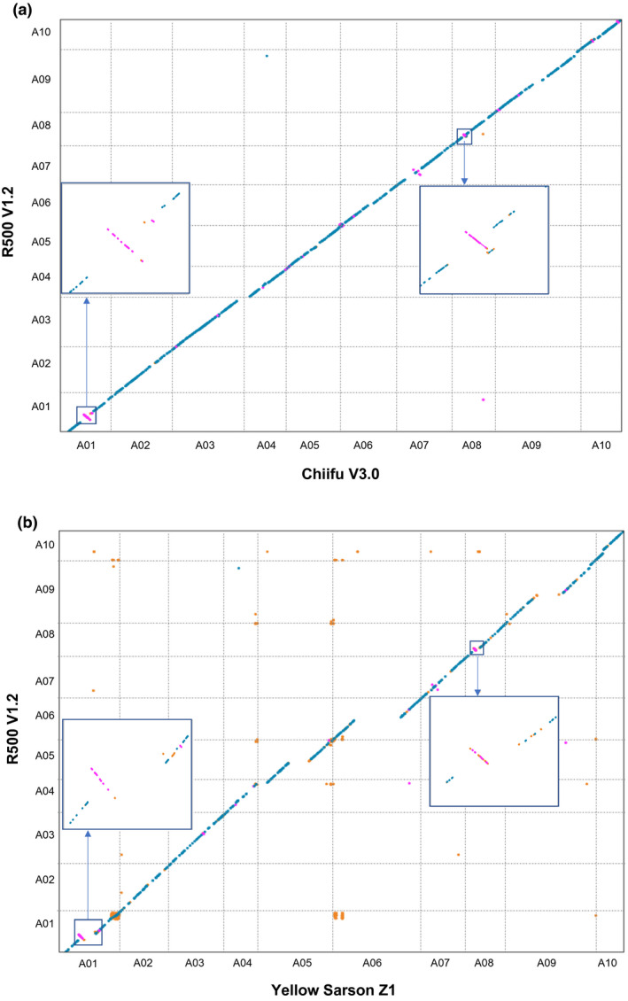 FIGURE 3