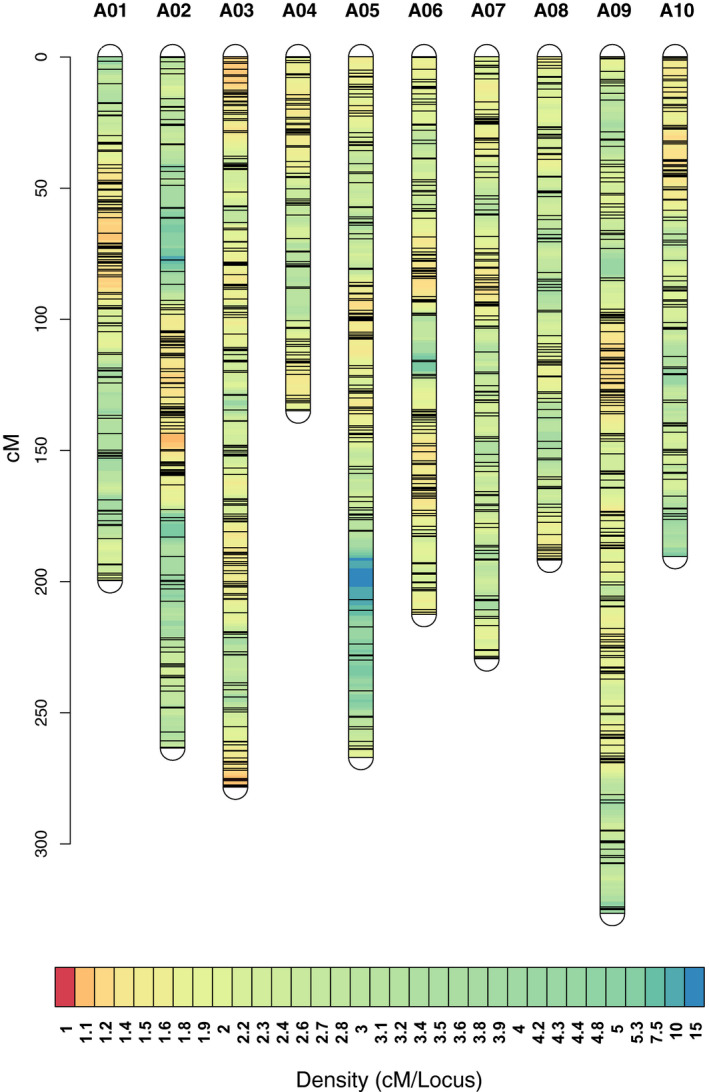 FIGURE 4