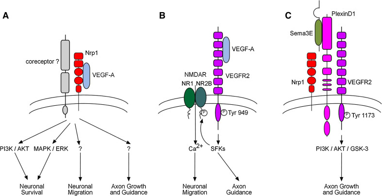 Fig. 4