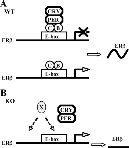 FIG. 9.