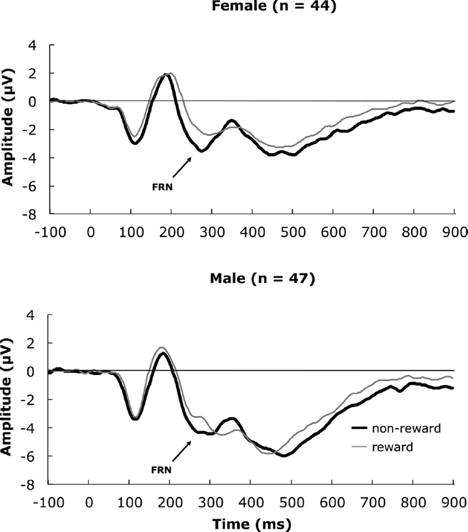 FIGURE 3