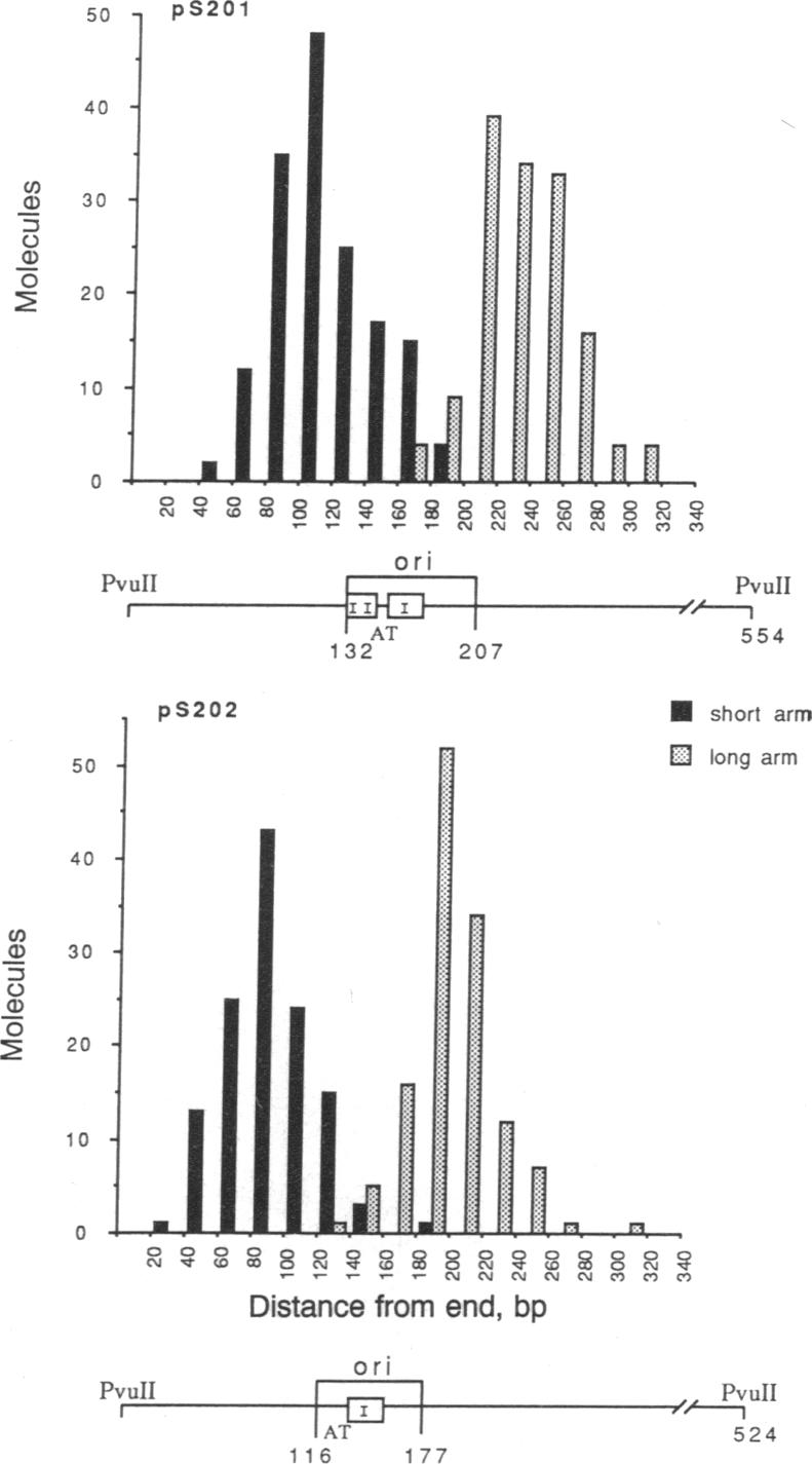 graphic file with name pnas01073-0583-b.jpg