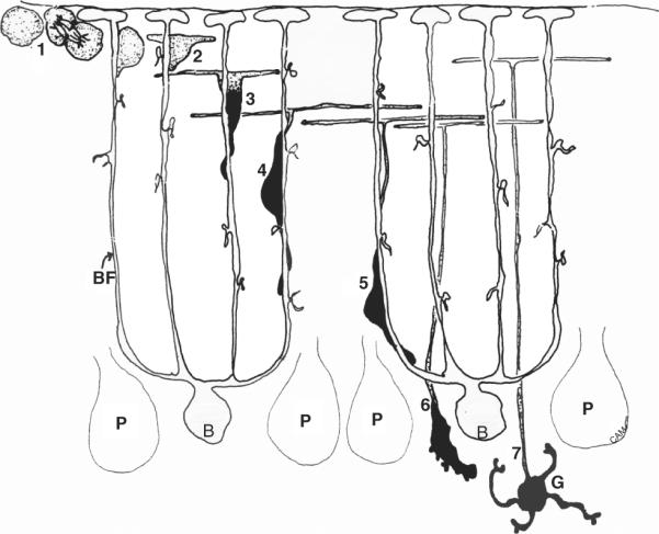 Figure 8.6