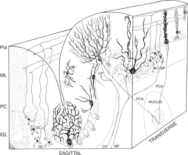 Figure 8.1