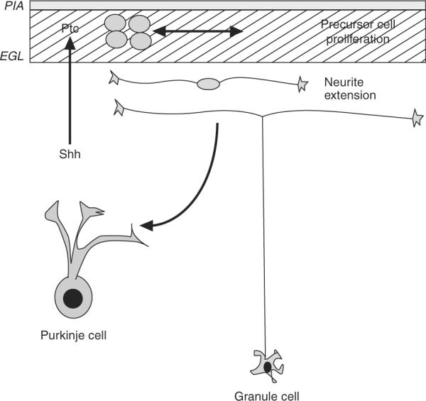 Figure 8.9