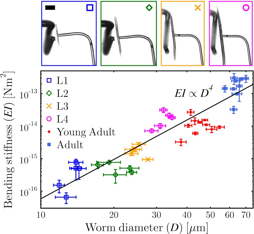 Fig. 4.