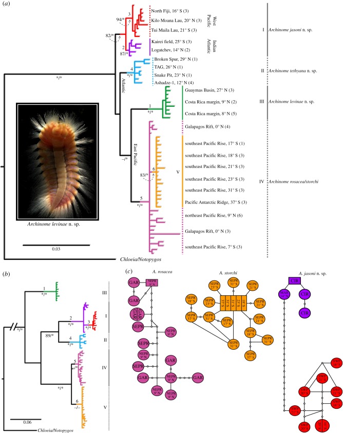 Figure 3.