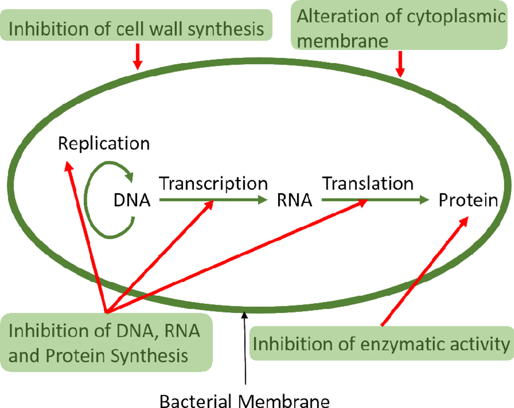 Figure 9