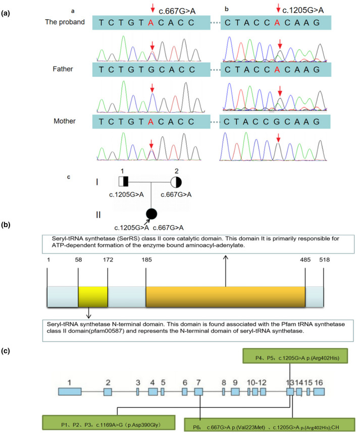 FIGURE 2