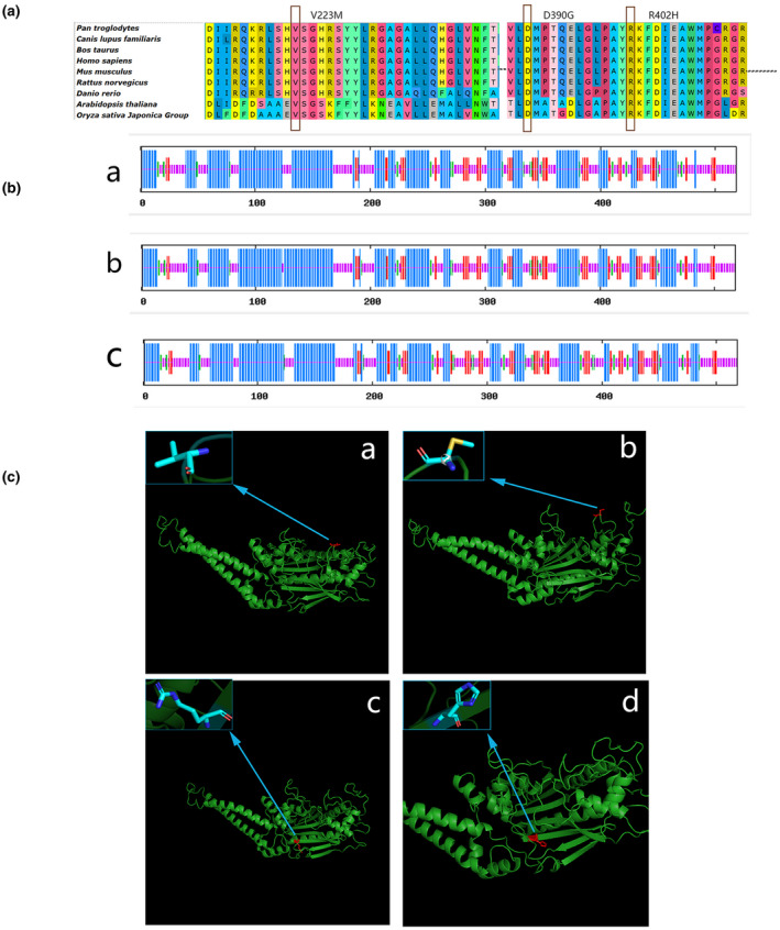 FIGURE 3