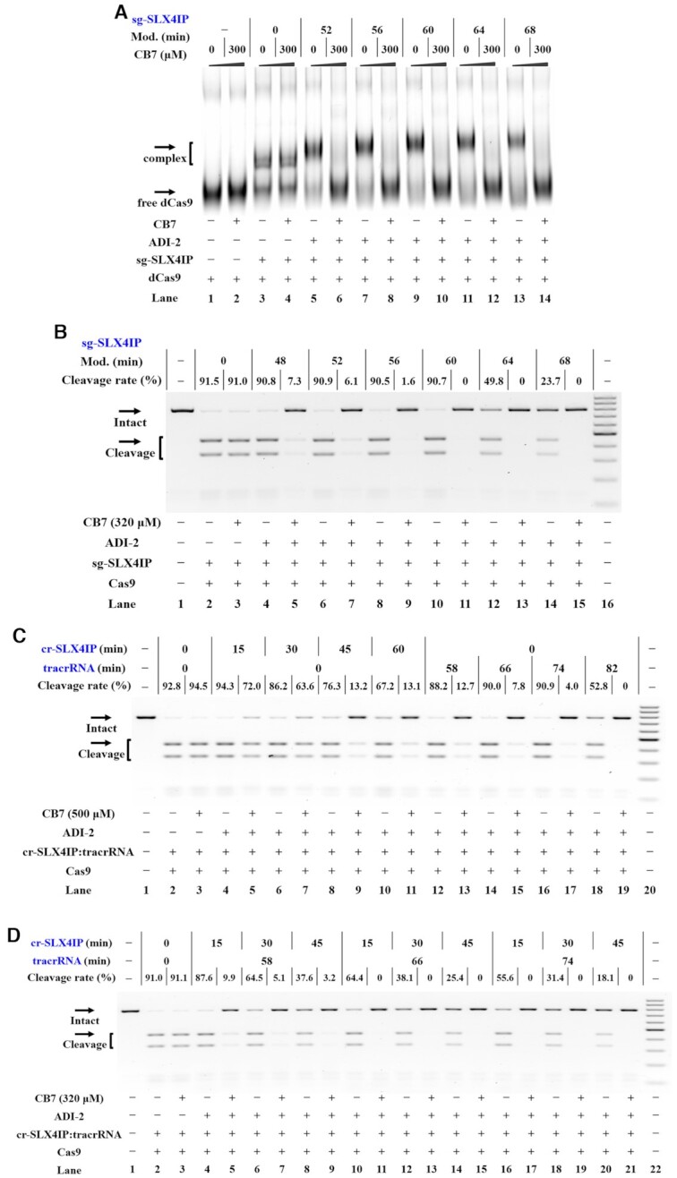 Figure 5.