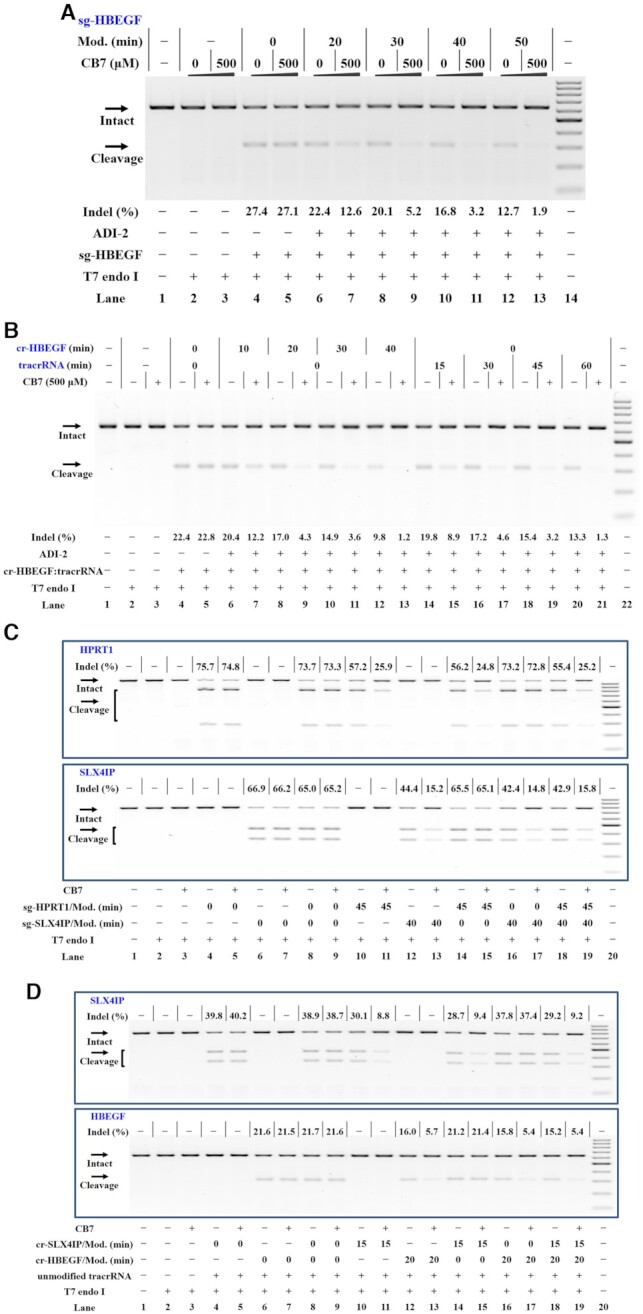 Figure 6.