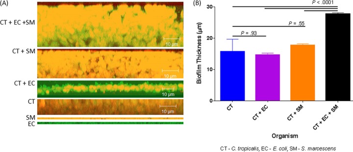 FIG 4 