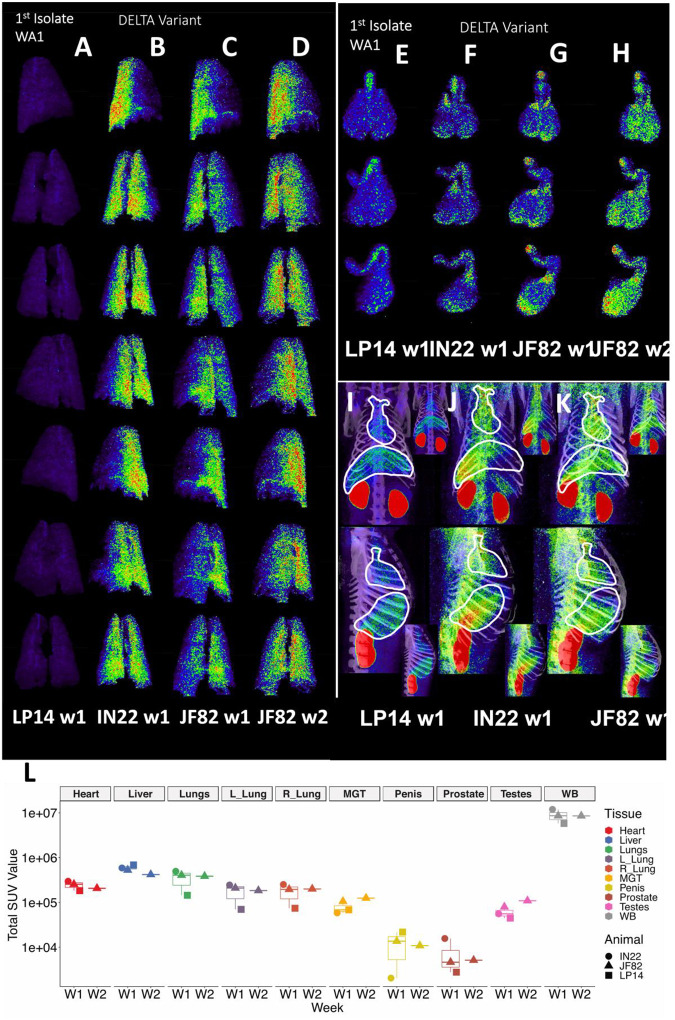 Figure 11.