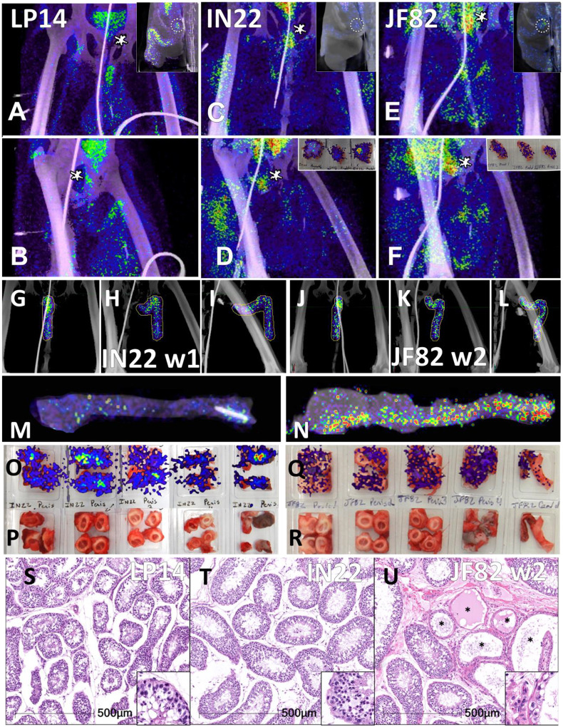 Figure 12.