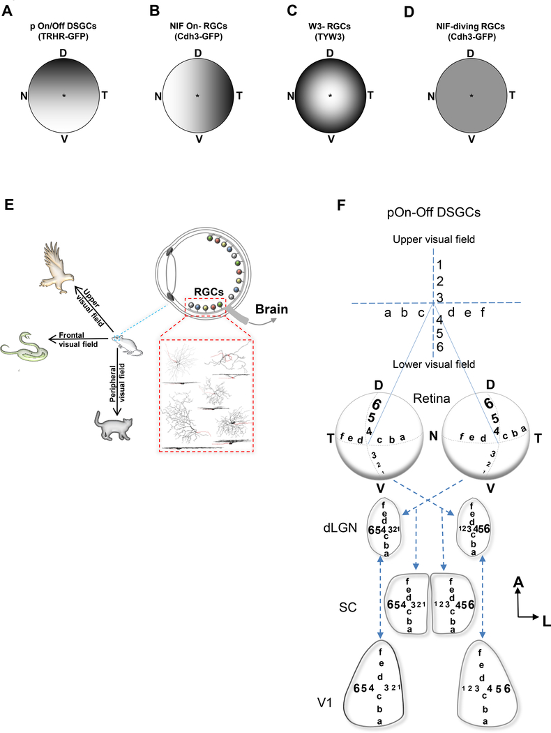 Figure 6.