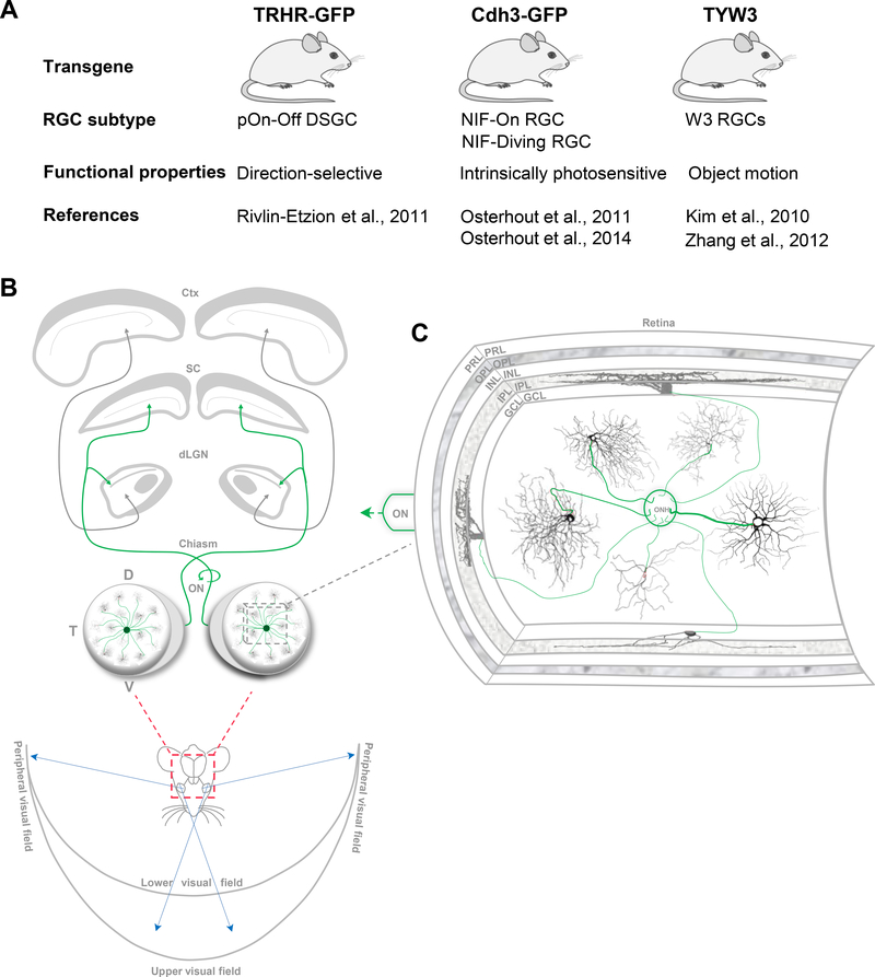 Figure 1.