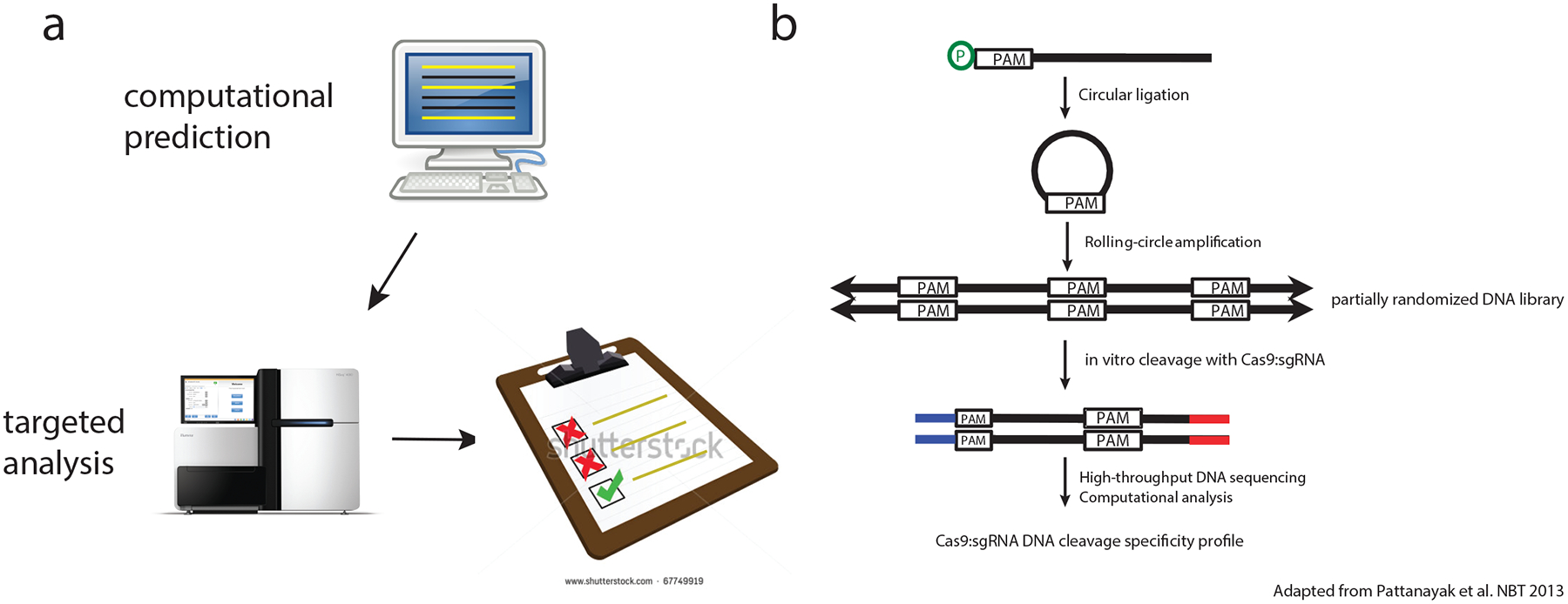 Figure 1 |