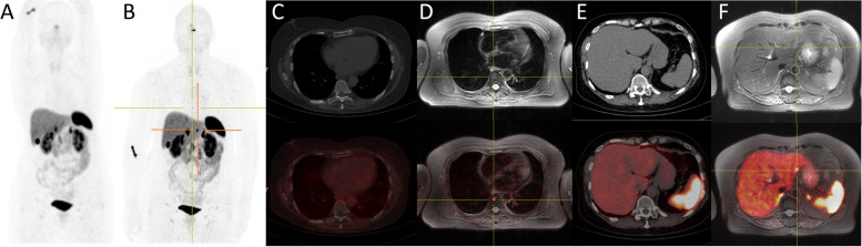 Fig. 6